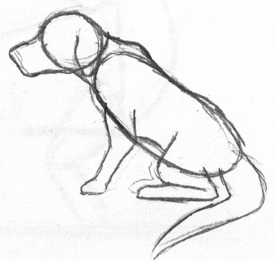 how to draw a dog